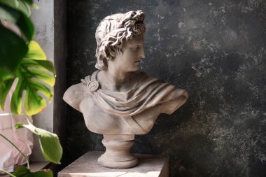 Tanrı Apollo 'nun büstünün alçıtaşı heykeli pencere ışığının yanında gri desenli arka planda. Kocaman yeşil canavar leziz çiçekleri yaprakları. Antik Yunan Güneş ve Şiir Tanrısı heykeli. Boşluğu kopyala