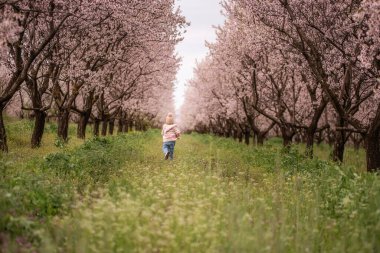Genç bir çocuk baharda çiçek dolu bir meyve bahçesi koridorunda yürüyor, örgülü bir bere ve ceket giyiyor, yumuşak bir gökyüzünün altındaki yeşil çimenleri ve pembe çiçekleri keşfediyor.