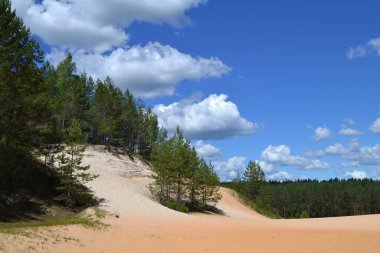 Kum madenciliği. Endüstri kariyeri. Pembe kumlu ormanda eski bir taş ocağı