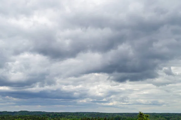 Nubes Oscuras Lluviosas Bosque Pinos Vista Superior — Foto de Stock