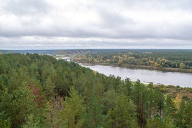 Druskininkai yakınlarında Nemunas Nehri. Kuleden ağaçların tepesine ve suya manzara. Sonbaharda bulutlu gökyüzü