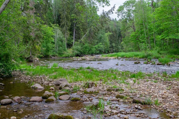 Côte Pierre Rivière Stream Avec Banque Rocheuse Nature Européenne — Photo