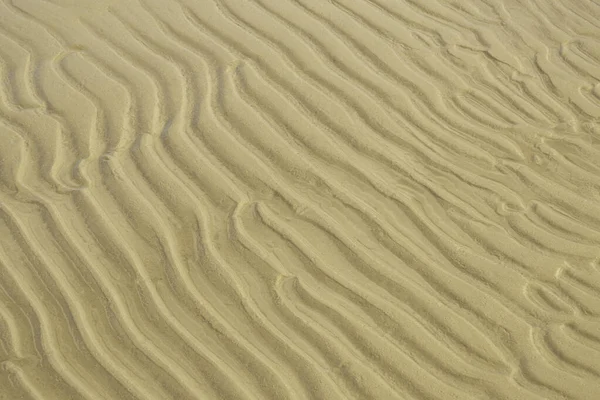 질감이요 모래를 가까이 여름과 휴식이라는 개념입니다 — 스톡 사진