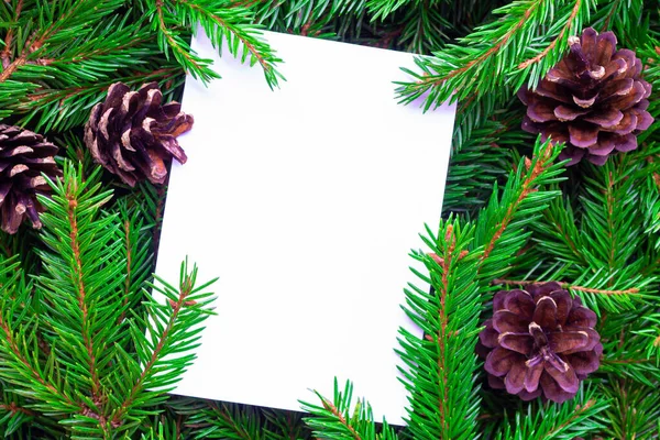 Close Frame Made Fir Branches Pine Cones Blank Sheet Lies — Stock Photo, Image