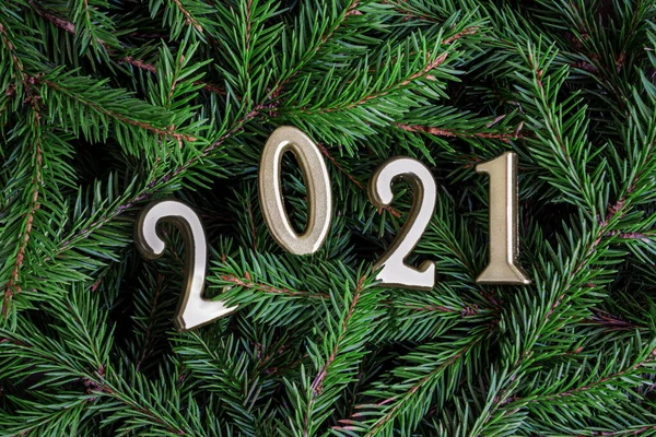 금박의 사진은 크리스마스 가지를 배경으로 2021 개이다 컨셉트 새해와 크리스마스 — 스톡 사진