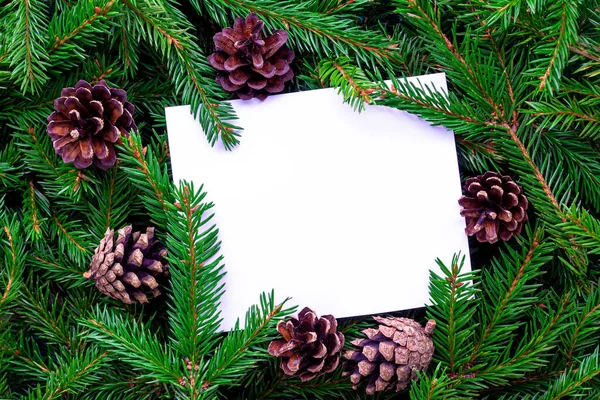 Frame Made Fir Branches Pine Cones White Blank Sheet Paper — Stock Photo, Image