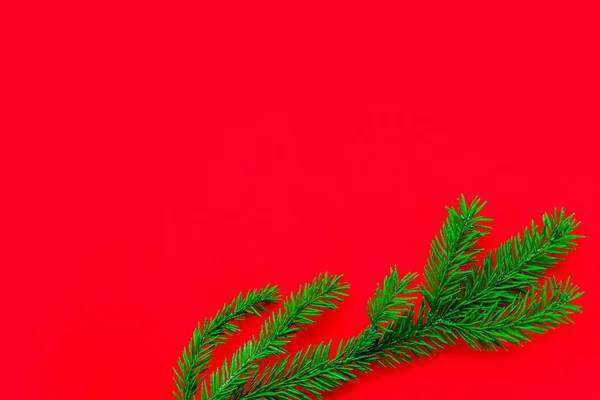 New Year Christmas Concept Christmas Tree Branch Empty Solid Red — Stock Photo, Image