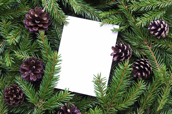 Vertical White Paper Frame Made Fir Branches Pine Cones Blank — Stock Photo, Image