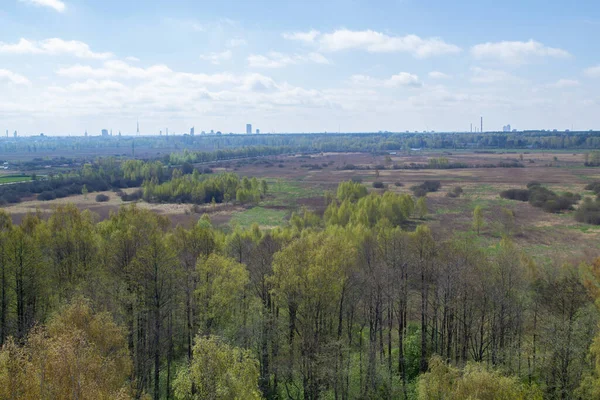 Forest and field top view. Aerial view to tops of trees and city in the background. Scenic landscape of Riga, Latvia.