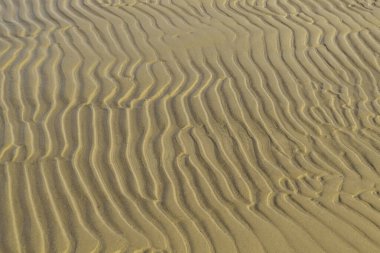 Kum dokusu geçmişi. Yaz ve tatil konsepti. Dalgalı kumu olan deniz kıyısı. Üst görünüm, alanı kopyala.