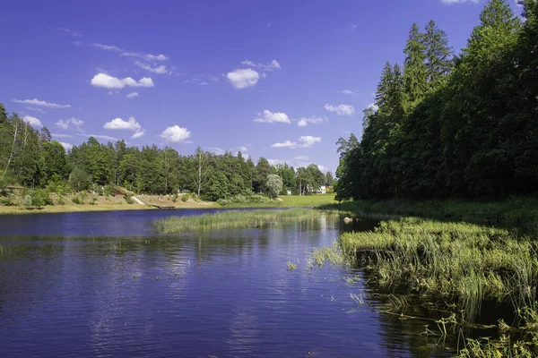 Countryside in Ogre town, river Ogre, forest, nature of Latvia. — Stock Photo, Image