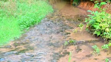Bir sürü taşı ve temiz suyu olan küçük bir nehir. Hızlı akış.