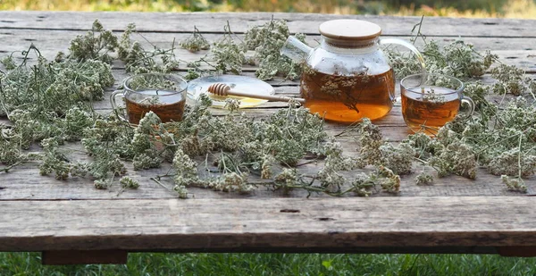 薬草だ 天然木の背景に蜂蜜のカップとガラスティーポットのヤローハーブティー — ストック写真