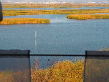 Renkli bankalarla dolu tren penceresinden nehir kenarına bakın. Sonbahar sezonu. Rusça açık alanlar.