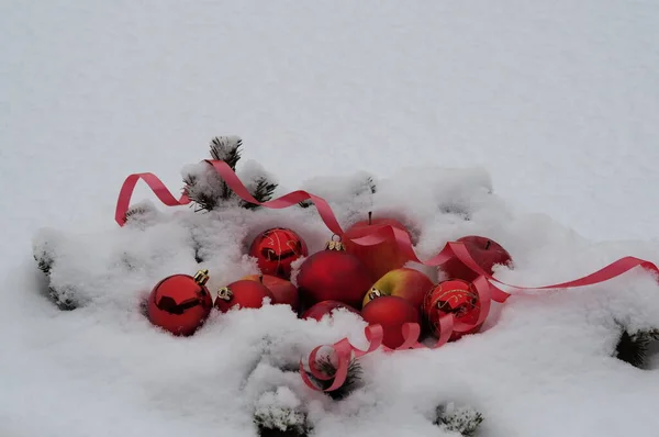 生机勃勃的树枝上的天然苹果都是用球果 新年的红球和撒满白雪的金银花来吃的 圣诞节背景 有祝贺或短信的地方 森林里的平安夜 — 图库照片