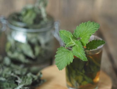 Kurutulmuş Melissa kullanarak şifalı bitki çayı. Melissa 'nın kurumuş yaprakları ya da eski ahşap bir masadaki bardakta taze bir dal ve tütsülenmiş nane şekeri..