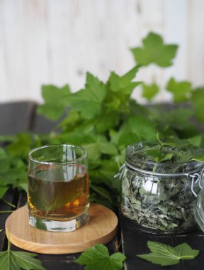 Şifalı otlar ve siyah frenk üzümü yaprakları ile arka plan. Mevsimleri hasat etmek. Taze frenk üzümü yaprakları, bir kavanoz kuru yaprak ve koyu ahşap bir masada çay..
