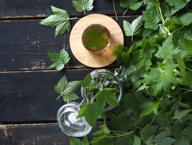 Kurutmak ve çay olarak kullanmak için taze frenk üzümü yaprakları hazırlıyoruz. Taze frenk üzümü yaprakları, koyu ahşap bir masa üzerinde bir bardak çay. Üst katın manzarası..