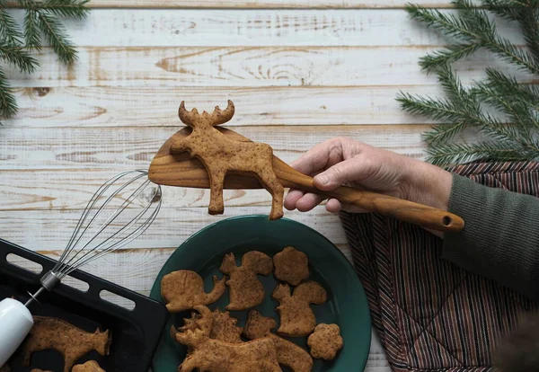 Hand Elderly Woman Holds Christmas Cookie Shape Deer Baked Home — Stock Photo, Image