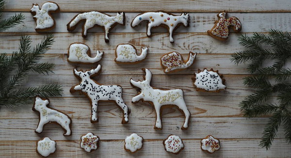 Homemade Christmas cookies in the shape of animals are laid out on a wooden background with fir branches. Christmas edible decor.