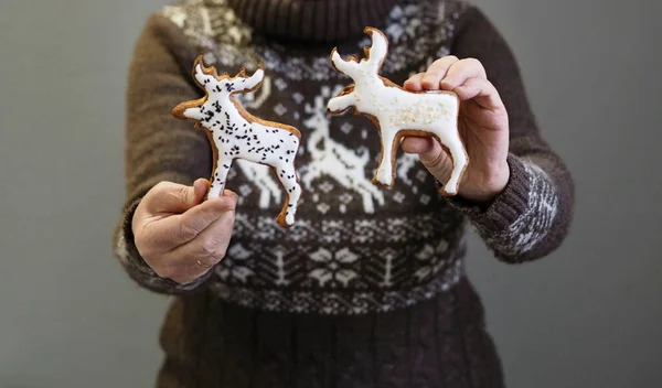 Elderly Woman Deer Patterned Sweater Holds Spruce Branches Homemade Christmas — Stock Photo, Image