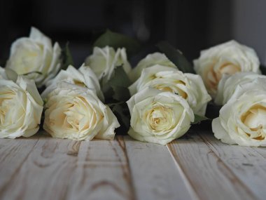 Kutlama metni için açık ahşap dekoratif arka planda beyaz güller serilmişti. Bahar çiçeği arkaplanı.