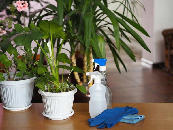 Les attributs de soins des plantes et de garder la chambre propre. Gants en caoutchouc et bouteilles d'eau sur le fond des plantes de la maison.Nettoyage dans une maison privée. — Photo