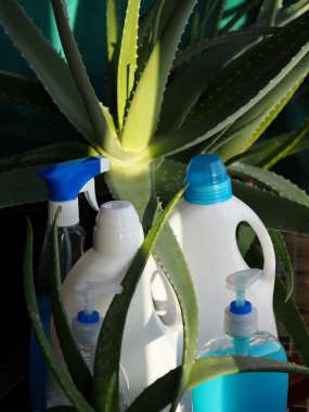 Çevre dostu doğal deterjan fikri. Deterjan ve temizleyiciler yeşil bir pamuk havlunun arka planında aloe vera bitkisi ile.