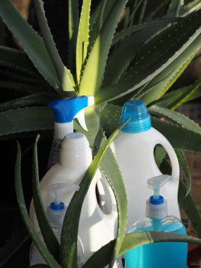 Çevre dostu doğal deterjanlar fikri. Deterjanlar ve temizleyiciler. Karanlık bir arka planda aloe vera tıbbi bitki..