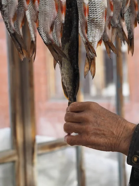 Las Manos Del Pescador Cuelgan Pez Los Ganchos Alambre Para — Foto de Stock