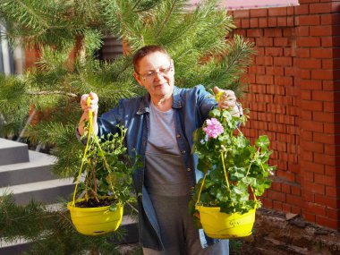 Kışın sonunda, yaşlı bir kadın baharda bahçeye çiçek açan pembe pelargonyum getirir. Kadın çiçek yetiştirir ve onlara bakar. Bahar bahçesinde çalış. Çiçekçilik ve bitki yetiştirme.