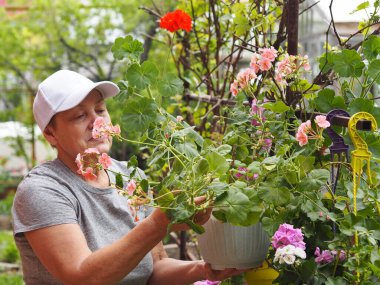 Yaşlı bir kadın sevdiği şeyi yapar, çiçeklerle ilgilenir. Çiçeklerle ilgilenir..