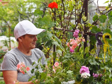 Yaşlı bir kadın sevdiği şeyi yapar, çiçeklerle ilgilenir. Çiçeklerle ilgilenir..