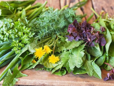 Gri ahşap masada farklı taze otlar. Çizmeotu ve salata için bitki kullanımı..