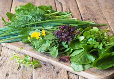 Gri ahşap masada farklı taze otlar. Çizmeotu ve salata için bitki kullanımı..