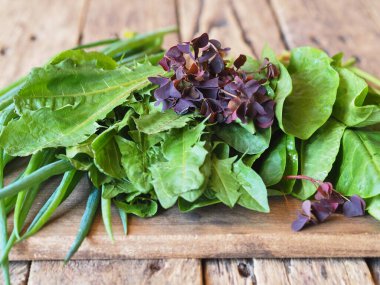 Gri ahşap masada farklı taze otlar. Çizmeotu ve salata için bitki kullanımı..