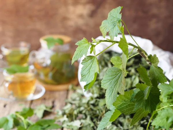 Persiapan Dan Penggunaan Tanaman Obat Untuk Obat Obatan Herbal Dan — Stok Foto