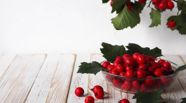 Hawthorn Ένα Γυάλινο Μπολ Κλαδιά Πράσινα Φύλλα Λευκό Φόντο Εποχή — Φωτογραφία Αρχείου