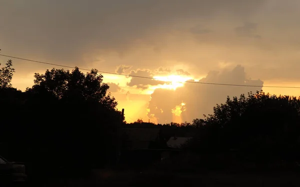 Літній Захід Сонця Селі — стокове фото