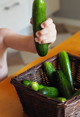 Summer vegetable food. The child is holding fresh cucumbers plucked from the garden.