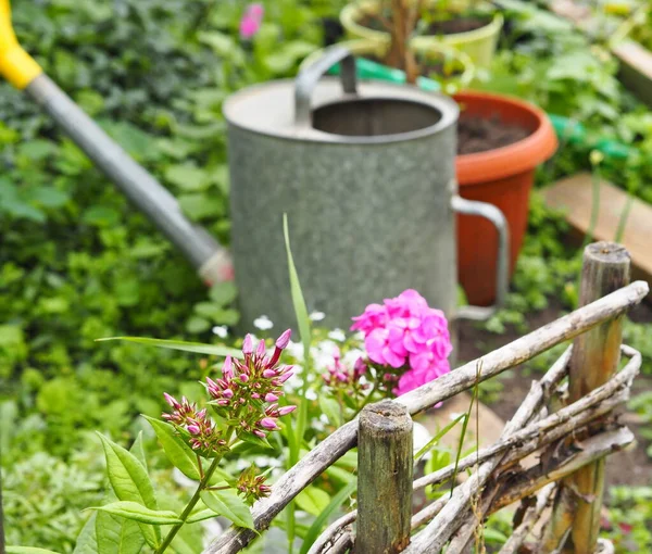 Fondo Natural Verano Flores Verano Jardín Sobre Fondo Latas Riego — Foto de Stock