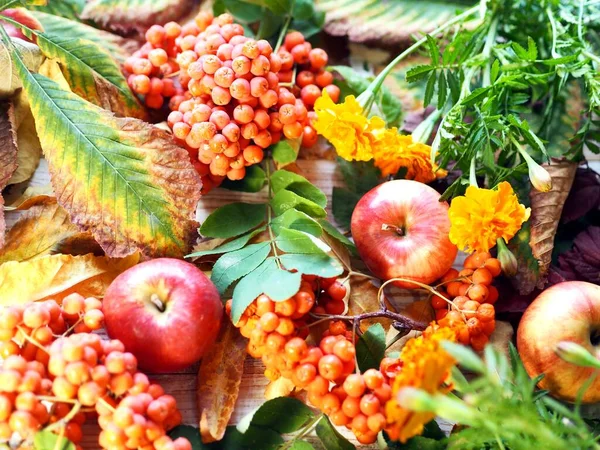 Podzimní listy, zralá červená jablka a jehličnaté bobule na dřevěném pozadí. Podzimní motivy. — Stock fotografie