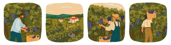 La vendimia de uvas de vino. La gente trabaja en una bodega. Afiche de ilustración vectorial dibujo a mano. Paisaje de viñedo con campo de uva y villa de bodega en el fondo — Vector de stock