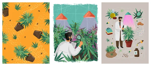 Científico y médico examina la planta de cannabis a través de lentes de mano. Laboratorio médico de cáñamo concepto vector ilustraciones y carteles. Patrón sin costuras con macetas de marihuana. Hierba cbd investigación médica — Vector de stock