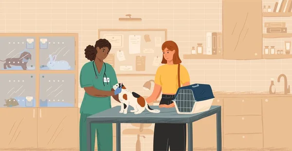 Kedi konsepti çizimi üzerinde çalışan siyah bir veteriner kadın. Veteriner doktor evcil hayvanları tedavi ediyor. Kedi muayenehanesi olan bir müşteri.