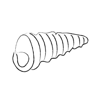 deniz kabuğu çizilmiş karalama çizimi 