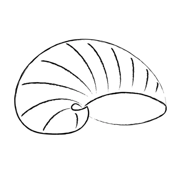 Sea Shell Hand Drawn Doodle Illustration — Stock Photo, Image