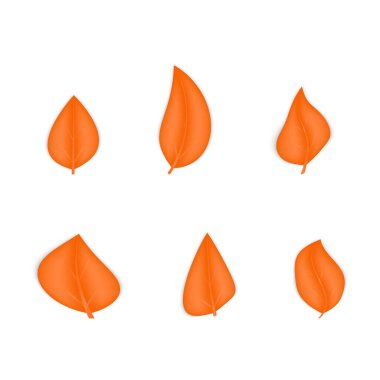Beyaz arka planda izole edilmiş gerçekçi yapraklar. Sonbahar broşürleri. 3d turuncu vektör çizimi. Çiçek tasarım elementlerini sonbaharda
