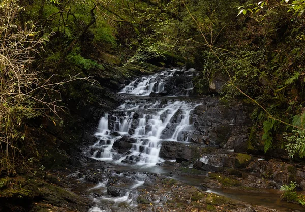 Shillong, Meghalaya, Hindistan 'daki Fil şelalesinden akan su.