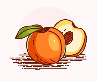 Bir şeftali ve bir dilim şeftalinin güzel çizimi. Vektör simgesi. Meyve suyu, reçel veya marmelat için logo.